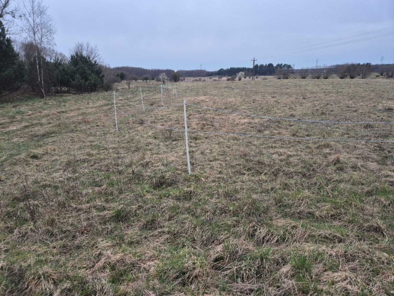 Działka budowlana Chocień. Zdjęcie 3