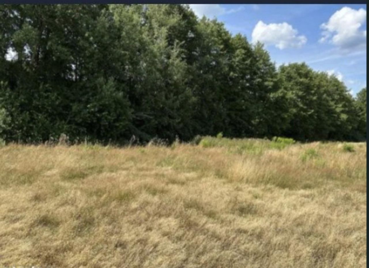 Działka budowlana Chwalęcice, ul. Leśna. Zdjęcie 2