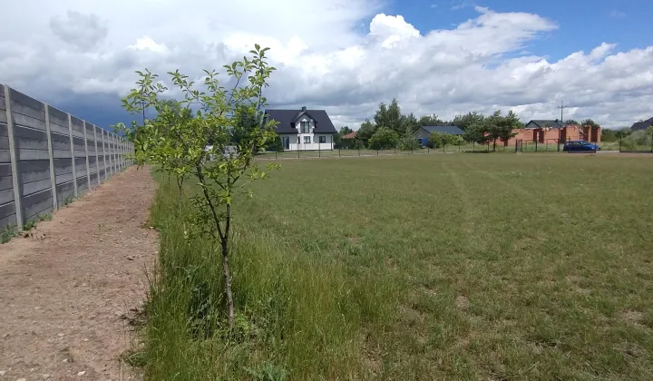 Działka rolno-budowlana Rokiciny-Kolonia, ul. Zachodnia