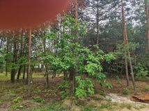 Działka budowlana Ostrowiec Świętokrzyski Piaski, ul. Spokojna. Zdjęcie 1