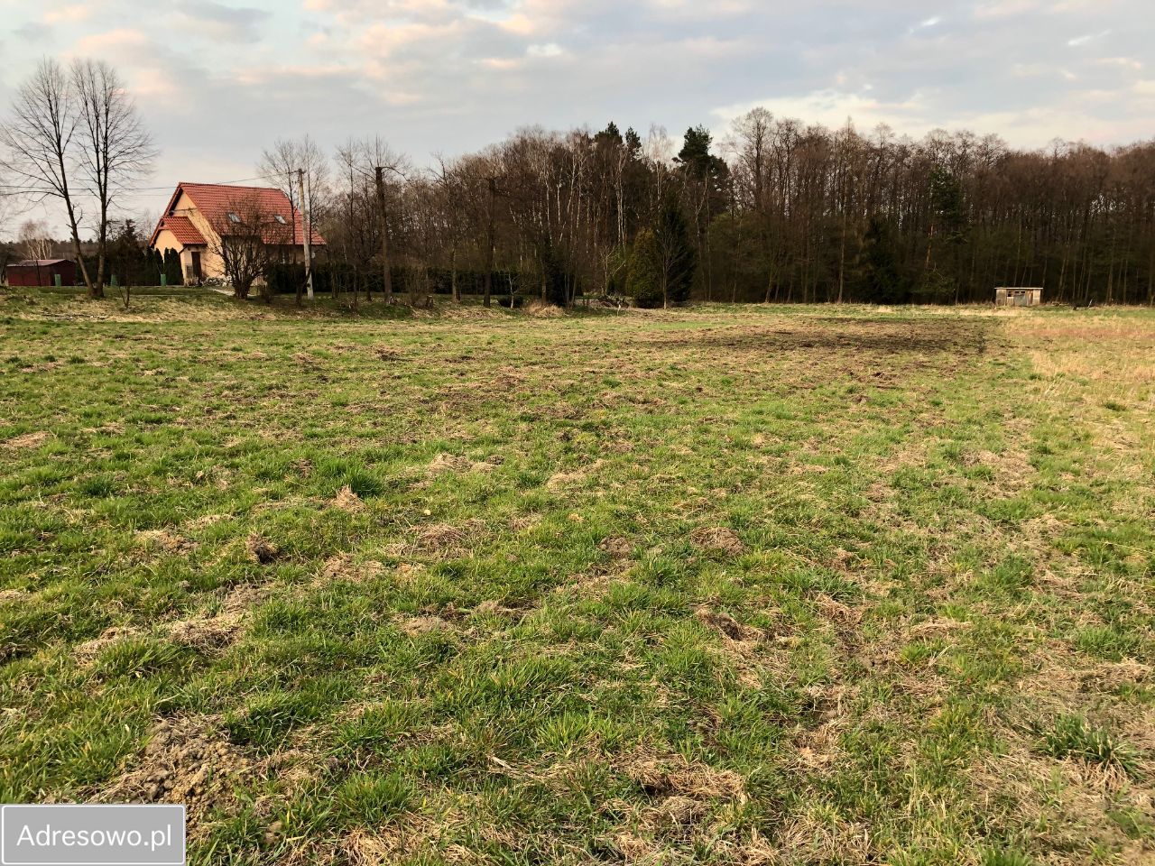 Działka Dąbrowa Szlachecka, ul. Kukułówka, bez pośrednika 3061 m2