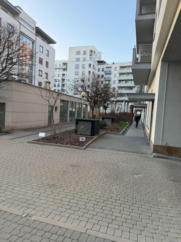 Lokal Warszawa, al. Komisji Edukacji Narodowej. Zdjęcie 15