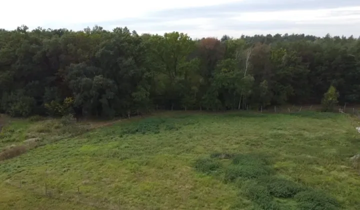 Działka rolno-budowlana Przemocze, ul. Kasztanowa