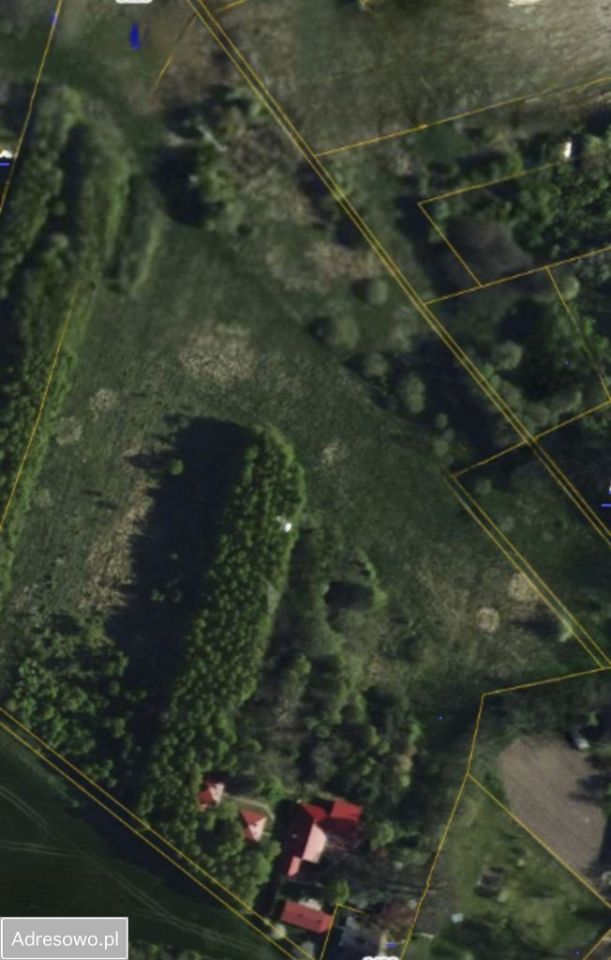 siedlisko Janaszów. Zdjęcie 17