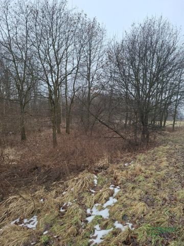 Działka Brzeszcze, ul. Przecieszyńska. Zdjęcie 3