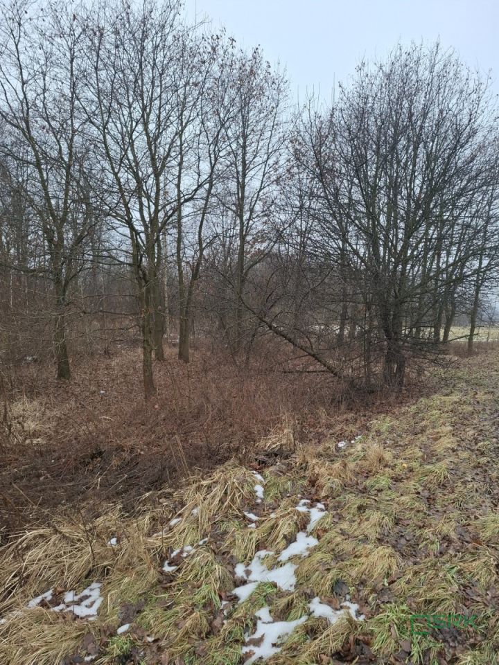 Działka inna Brzeszcze, ul. Przecieszyńska. Zdjęcie 3