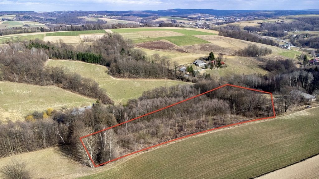 Działka budowlana Brzeziny. Zdjęcie 2