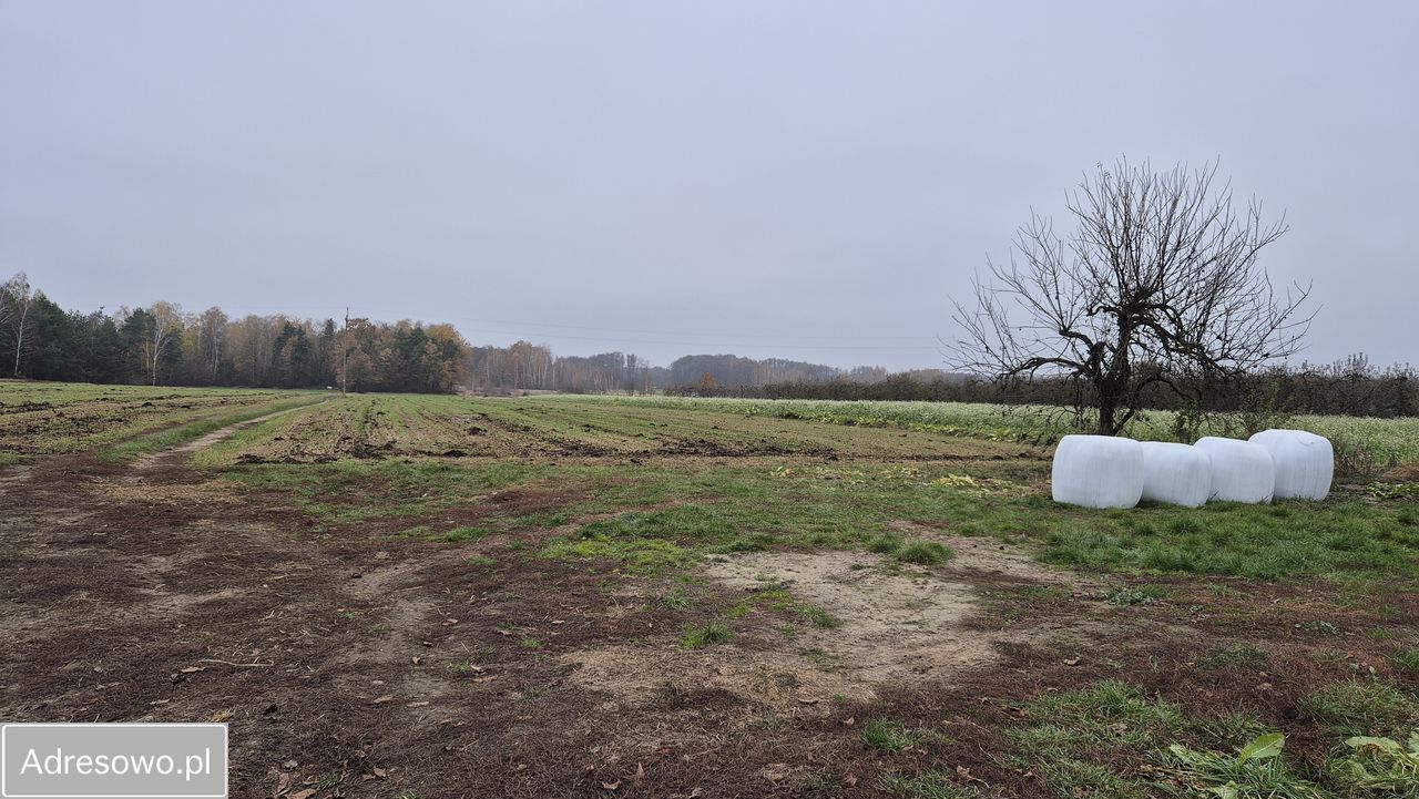 Działka rolno-budowlana Wyborów. Zdjęcie 3
