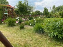 Działka rod Lublin, ul. Zawilcowa. Zdjęcie 2