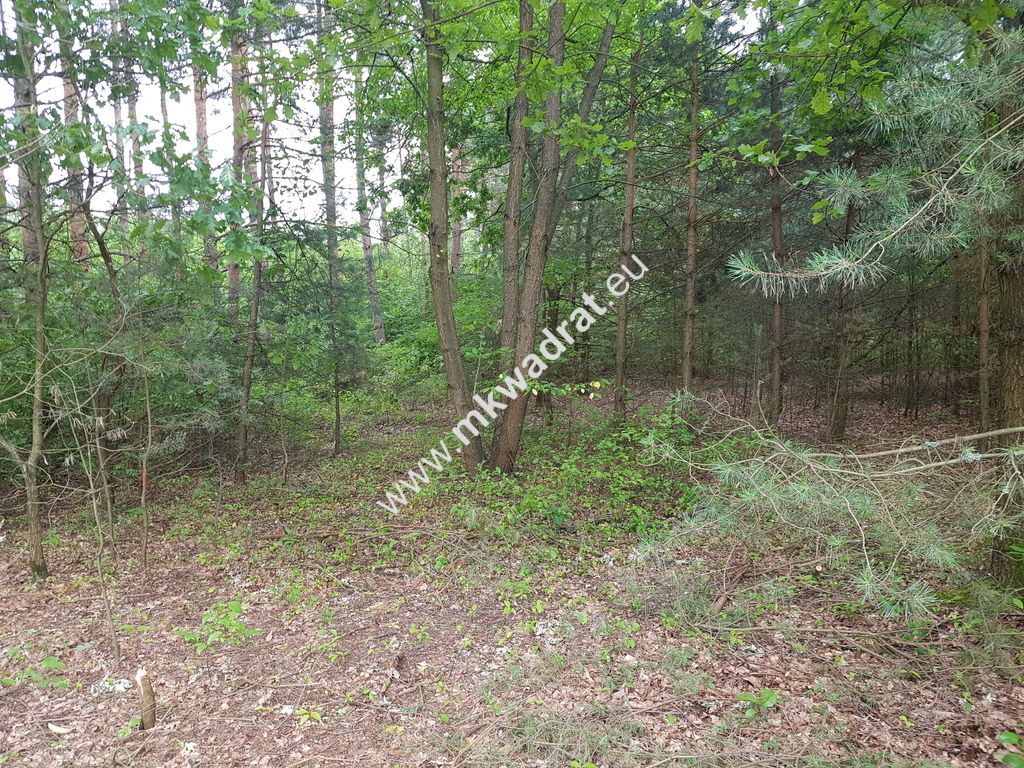 Działka budowlana Musuły. Zdjęcie 4