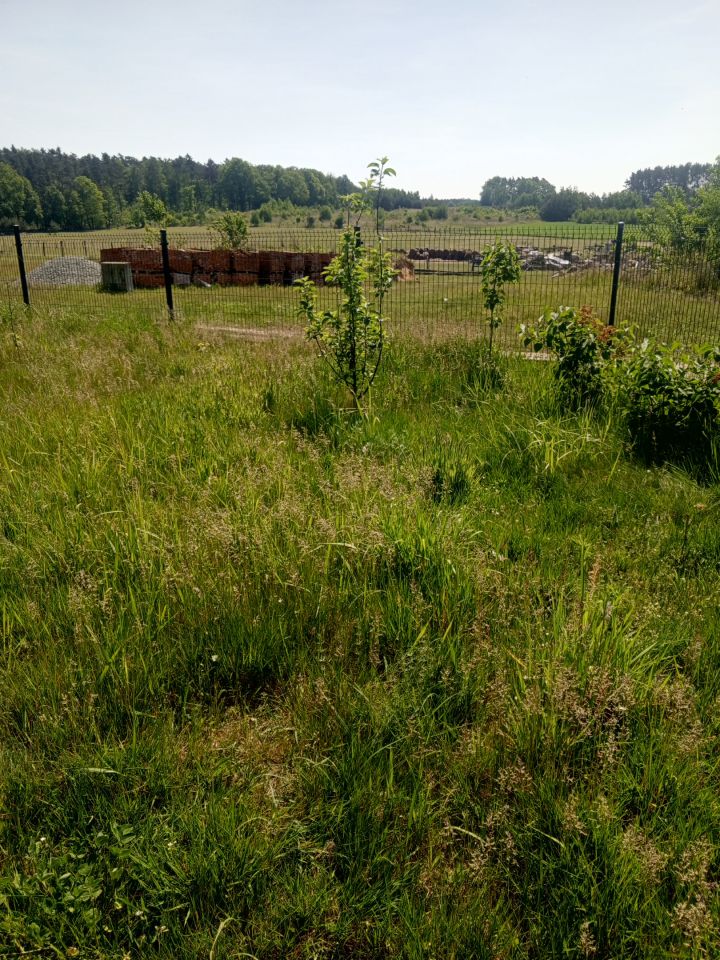 Działka budowlana Niedary. Zdjęcie 4