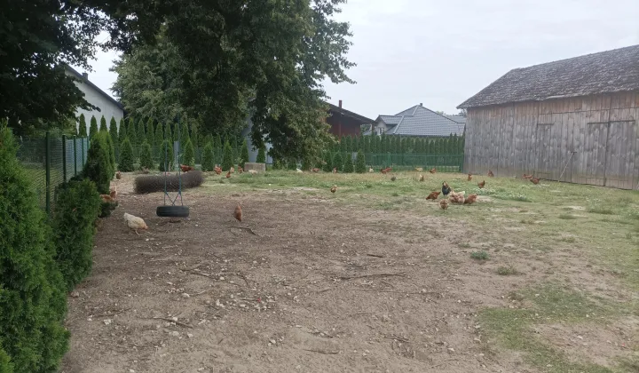 Działka budowlana Owczarnia Cegłówka