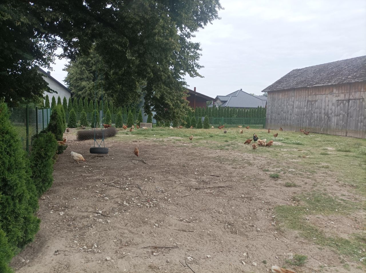 Działka budowlana Owczarnia Cegłówka