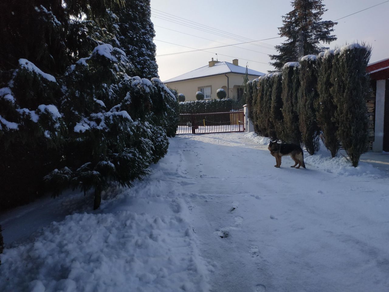 inny, 5 pokoi Sadowie Jacentów. Zdjęcie 18
