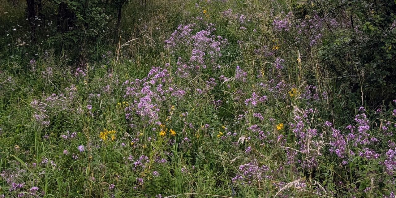 Działka budowlana Nowe Miasto Lubawskie Kornatki. Zdjęcie 7