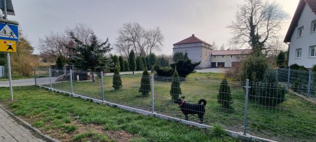 Działka budowlana Prochowice, ul. Sienkiewicza. Zdjęcie 1