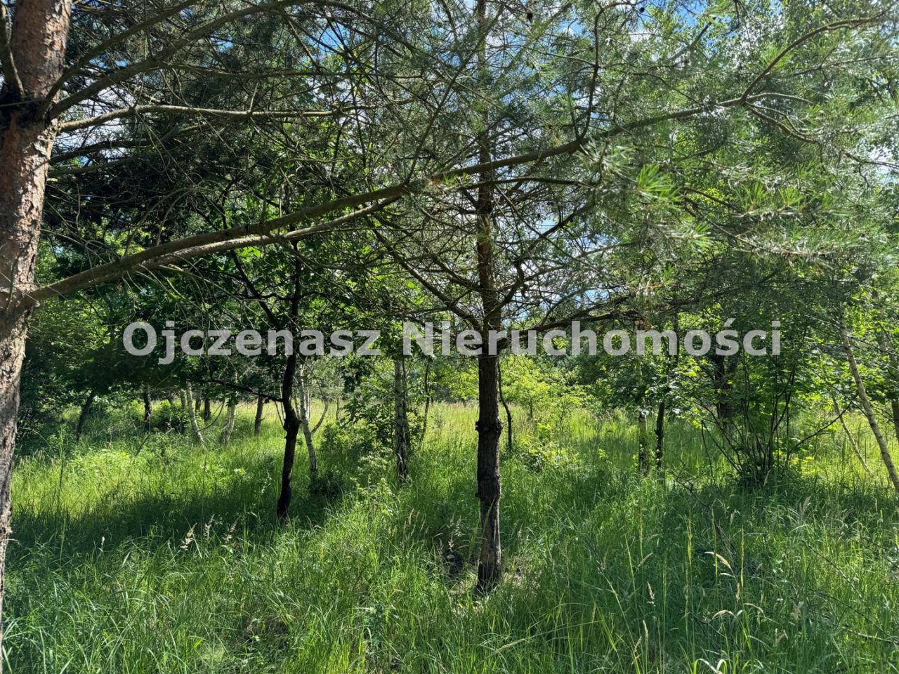 Działka budowlana Małe Rudy. Zdjęcie 3