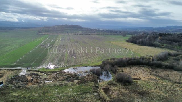 Działka rolna Krzewie Wielkie. Zdjęcie 4