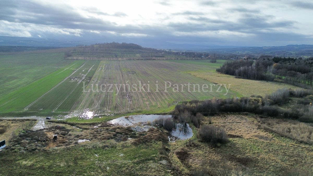 Działka rolna Krzewie Wielkie. Zdjęcie 4