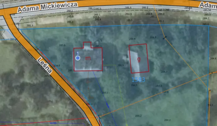 Alwernia ul. Leśna Działka do wynajecia bez pośredników