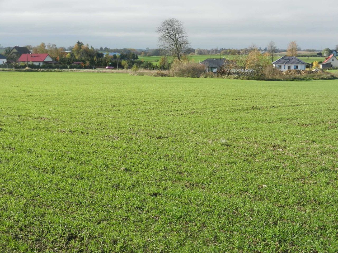 Działka inwestycyjna Stare Bielice. Zdjęcie 6