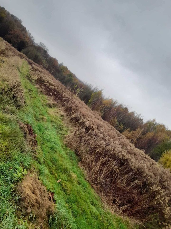 Działka siedliskowa Wrząsowice. Zdjęcie 4