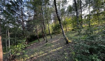 Działka rekreacyjna Kiełpiny