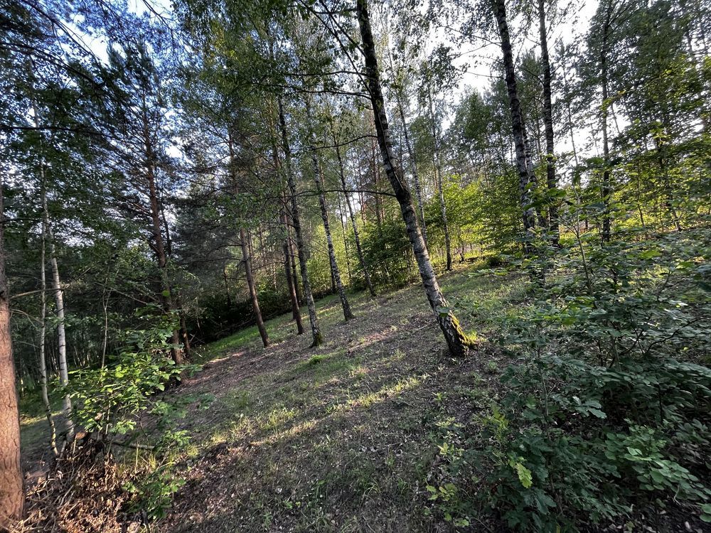 Działka rekreacyjna Kiełpiny. Zdjęcie 2