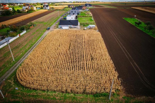 Działka budowlana Pietrowice Wielkie. Zdjęcie 3