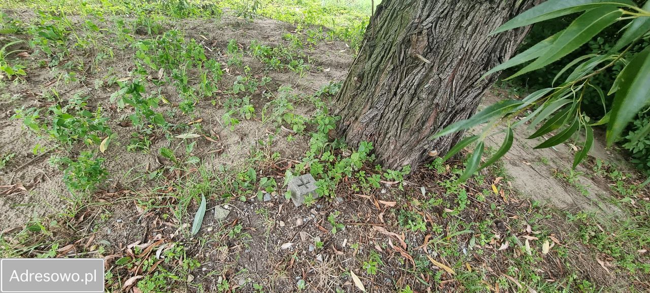 Działka budowlana Łowicz, ul. Lniana. Zdjęcie 3