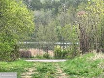 Działka budowlana Borowe. Zdjęcie 1