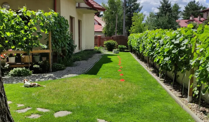 bliźniak, 5 pokoi Izabelin