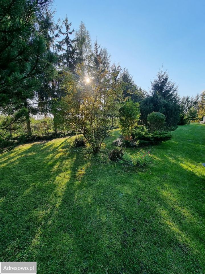 Działka rolno-budowlana Boduszyn. Zdjęcie 2