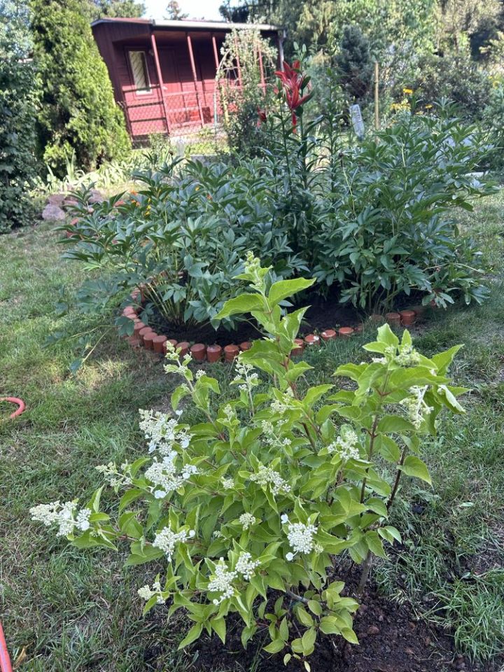 Działka rod Warszawa Białołęka, ul. Ornecka. Zdjęcie 6