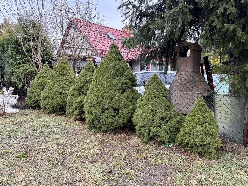 Działka rod Poznań Strzeszyn, ul. Melchiora Wańkowicza. Zdjęcie 7