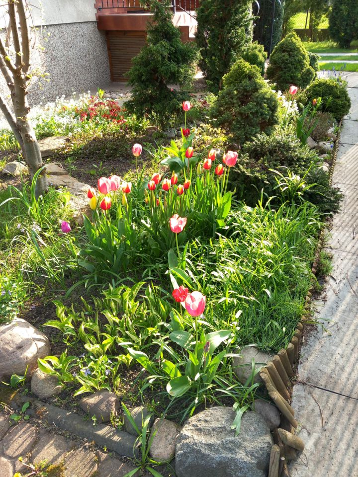 dom wolnostojący, 5 pokoi Karczew, ul. Ordona. Zdjęcie 3