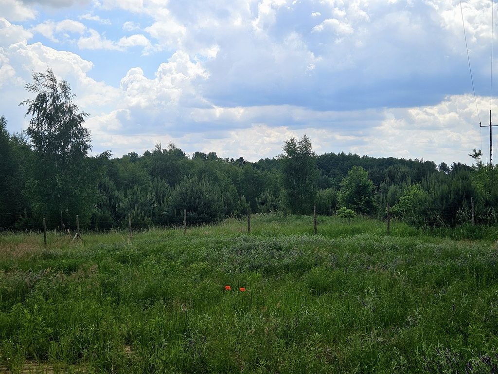 bliźniak, 5 pokoi Lubnów Nowosielce, ul. Eliasza. Zdjęcie 22