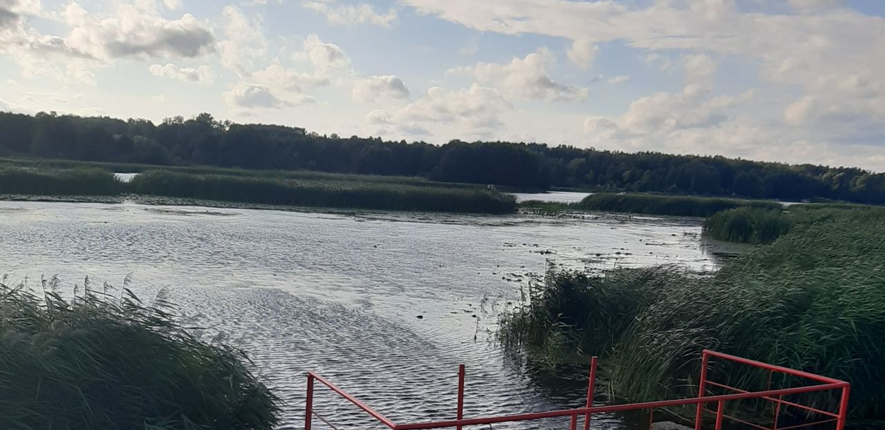 Działka rekreacyjna Dzierżenin. Zdjęcie 3