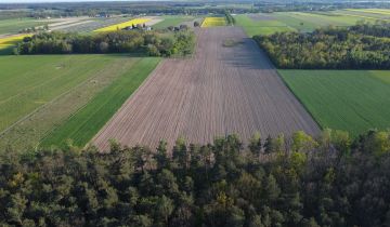 Działka rolno-budowlana Naruszewo