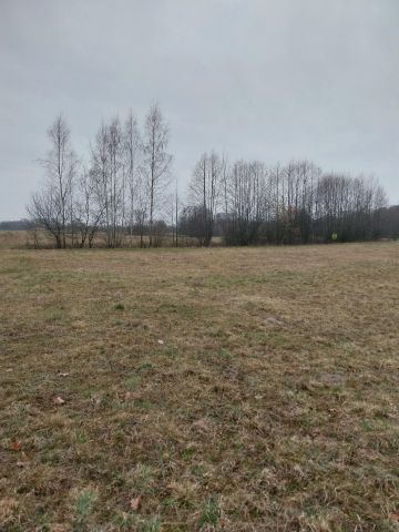 Działka budowlana Golce. Zdjęcie 1