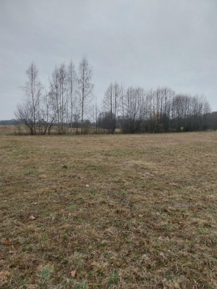 Działka budowlana Golce