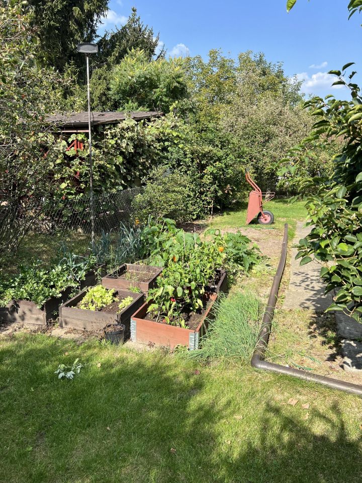 Działka rod Osse. Zdjęcie 8