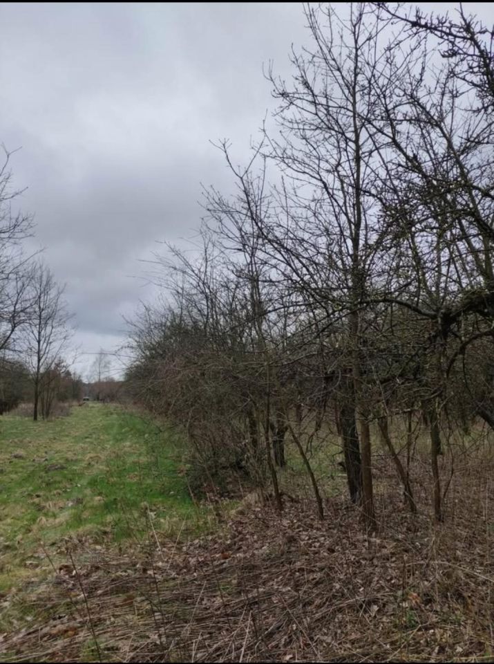 Działka rolna Wincentów. Zdjęcie 6