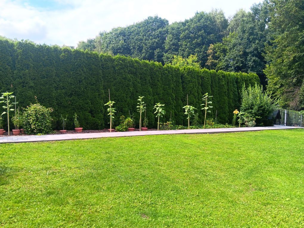 dom wolnostojący, 4 pokoje Wieliczka Krzyszkowice, ul. Modrzewiowa. Zdjęcie 6