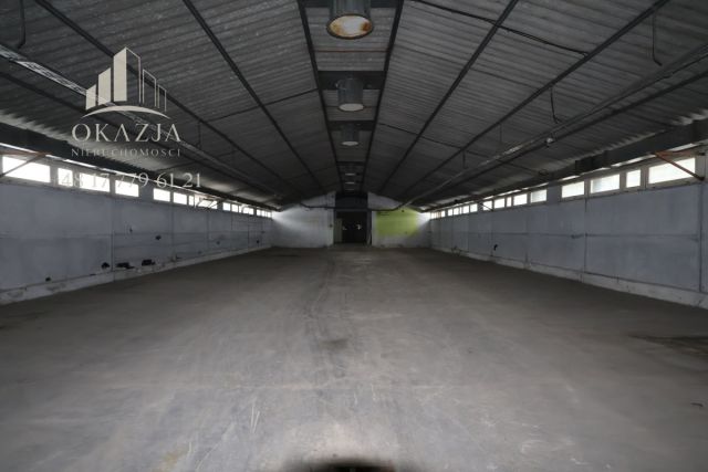 Lokal Wysoka Głogowska. Zdjęcie 7