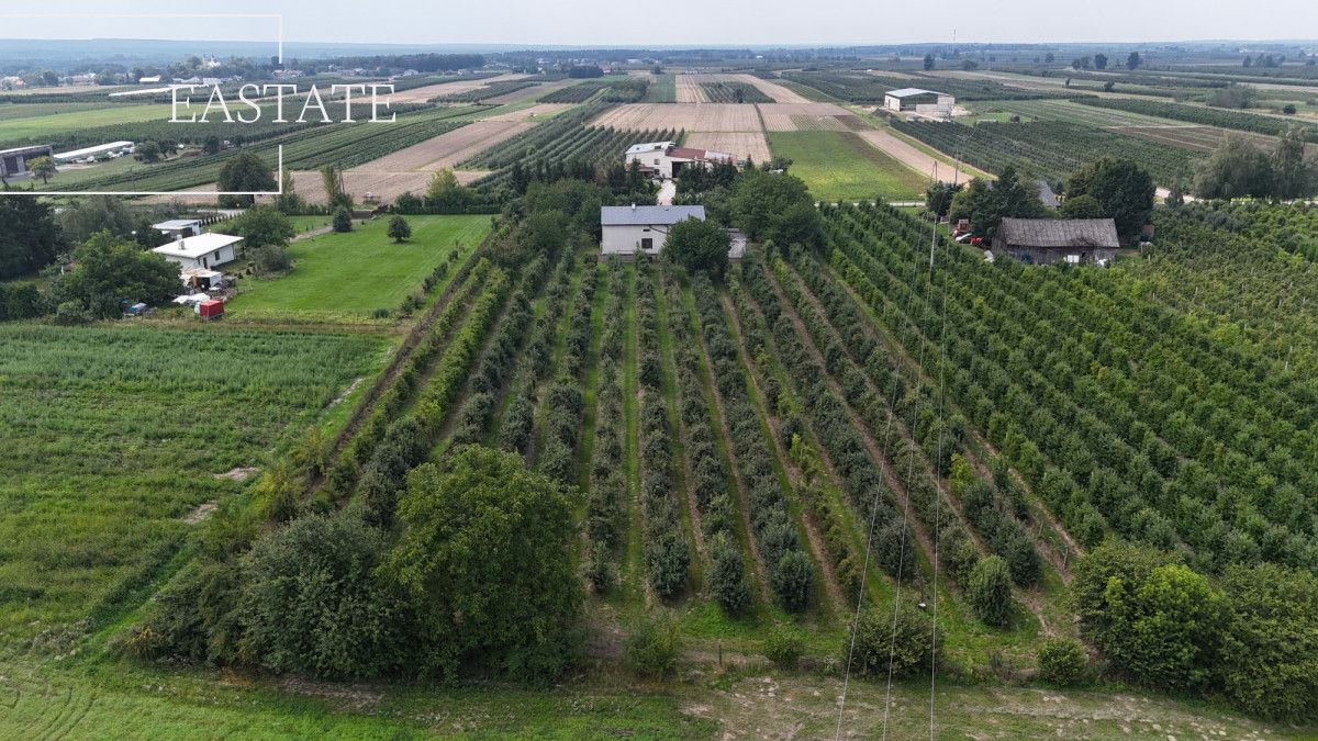 Działka rolna Świdno. Zdjęcie 3