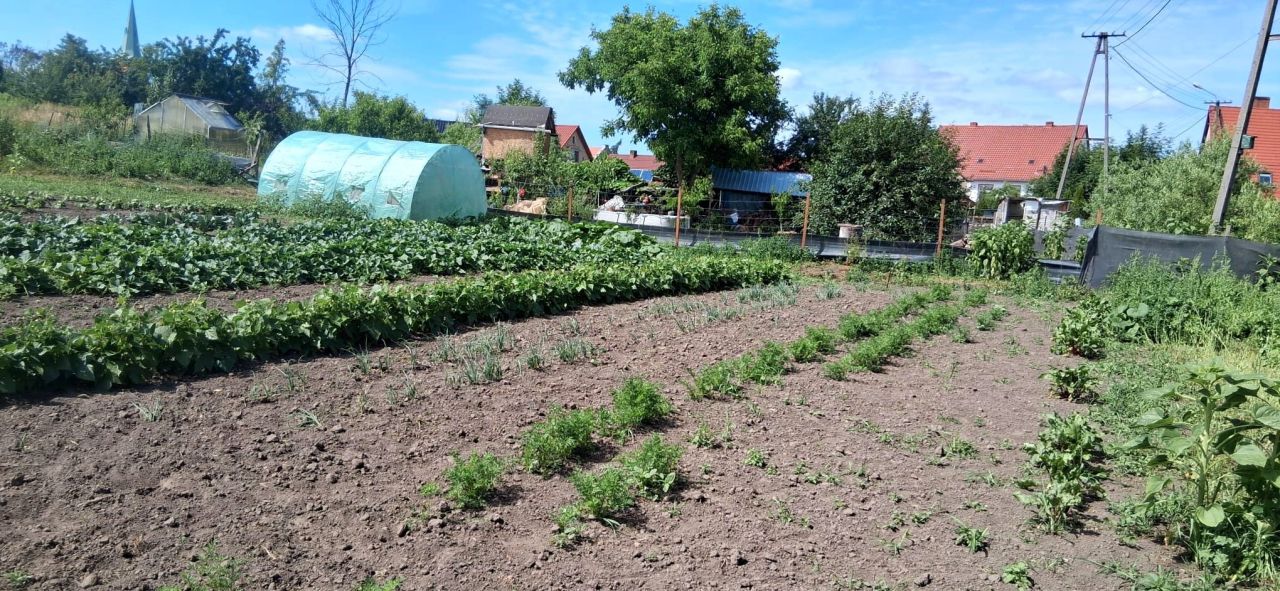 bliźniak, 2 pokoje Przeworno, ul. Pocztowa. Zdjęcie 11