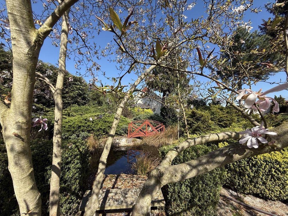 gospodarstwo Szczytnica. Zdjęcie 7