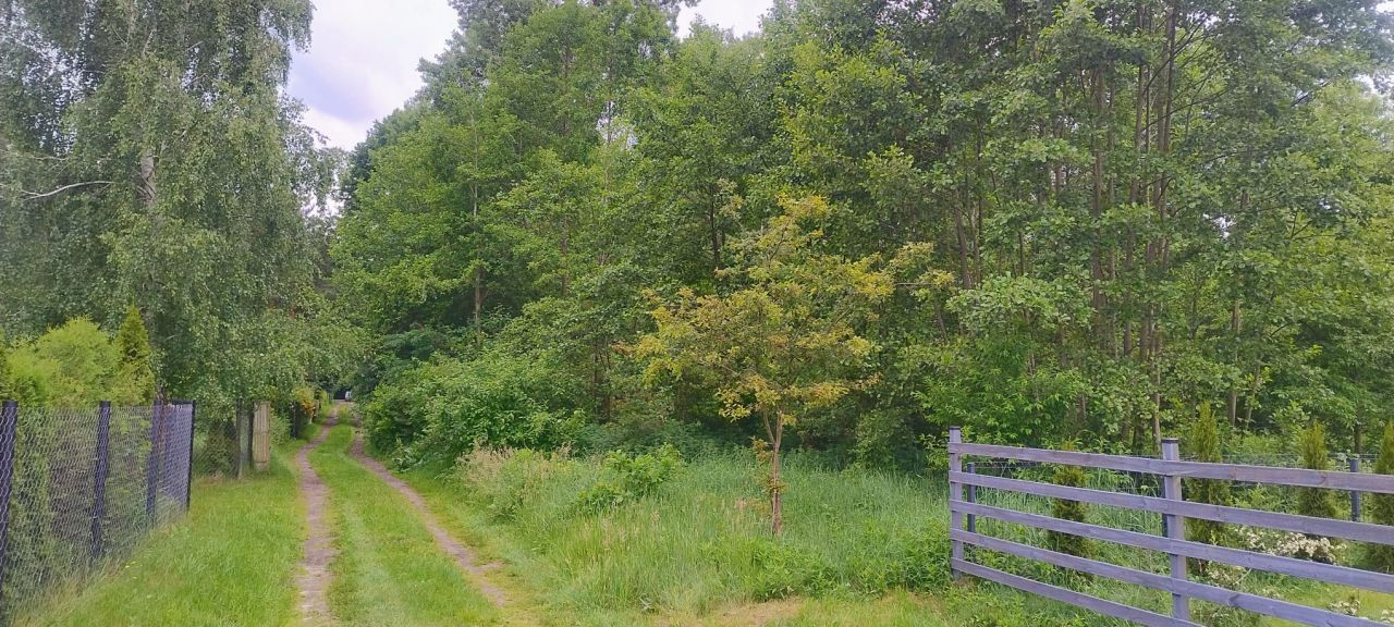 Działka budowlana Kania Nowa. Zdjęcie 7