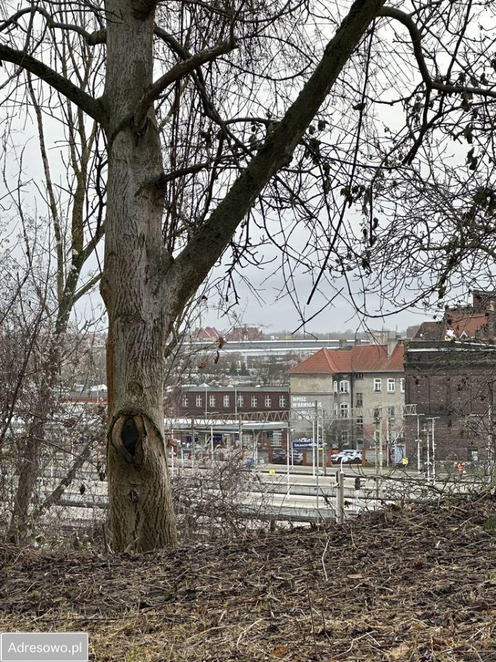 Lokal Szczecin Śródmieście, ul. Potulicka. Zdjęcie 10